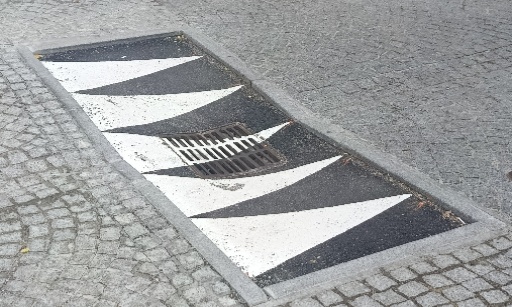Supprimez le dos d’âne inversé rue Henri Tronel à Saint-Paul-en-Jarez