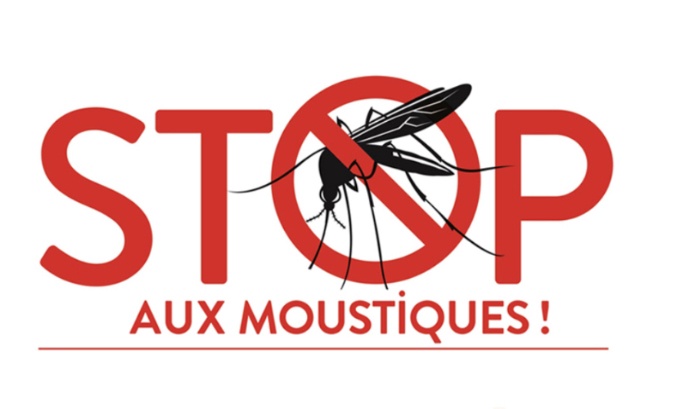 Pour une démoustication urgente et respectueuse sur le bassin d'Arcachon