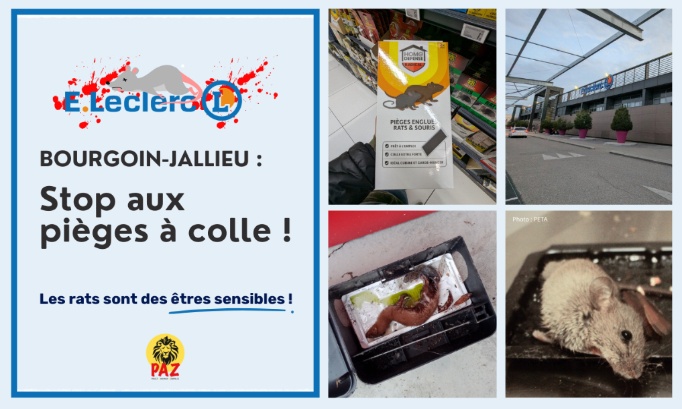 Stop à la vente de pièges à colle au E.Leclerc Bourgoin Jallieu