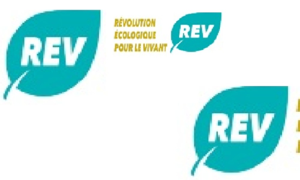 Non à l’abandon des animaux de compagnie des expatriés aux Émirats Arabes Unis.