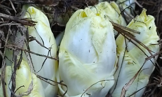 Stop aux convocations abusives, reconnaissez enfin mes pratiques agroécologiques locales