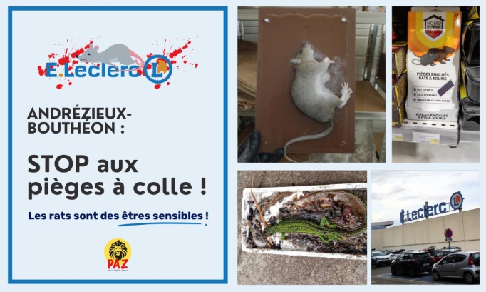STOP à la cruauté des pièges à colle au E.Leclerc Andrézieux-Bouthéon