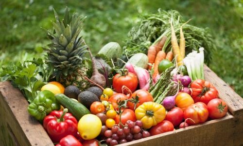 Pour obliger tous les agriculteurs à faire du bio pas cher