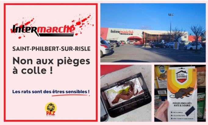 Intermarché Saint-Philbert-sur-Risle : non à la cruauté !