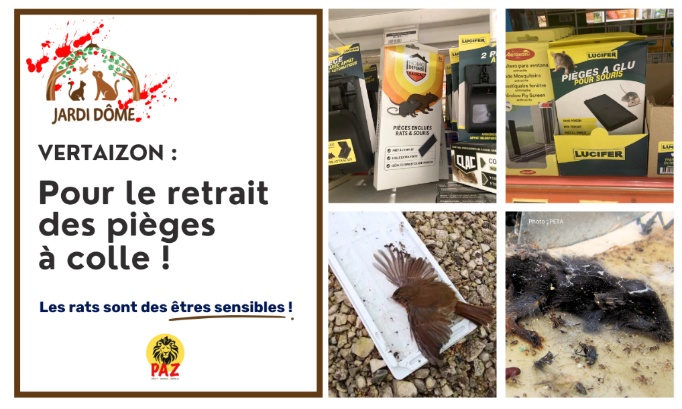 Pour le retrait des pièges à colle au Jardi Dôme Vertaizon