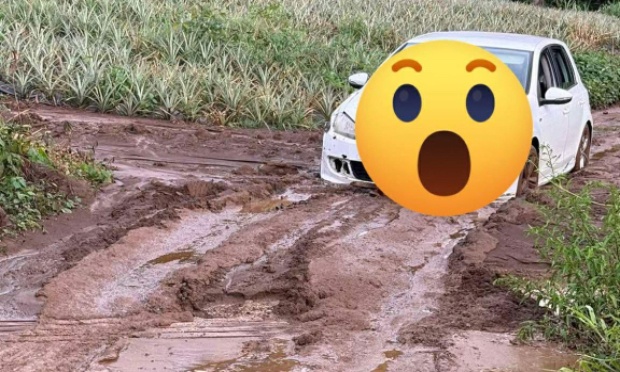 Pour la rénovation urgente des routes du Chemin de la Bergerie ”