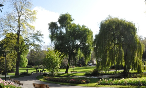 Pour remplacer rapidement le syndic H4 Immobilier du Parc Saint-Roch