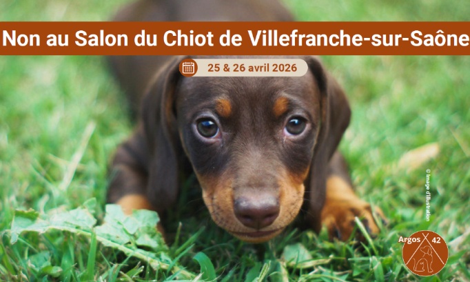 Non au Salon du Chiot de Villefranche-sur-Saône !