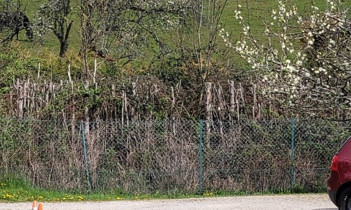 Demande d'une réunion publique à la mairie d'École-Valentin 25480