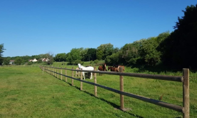Ce club, c’est plus qu’un lieu : aidons-le à renaître