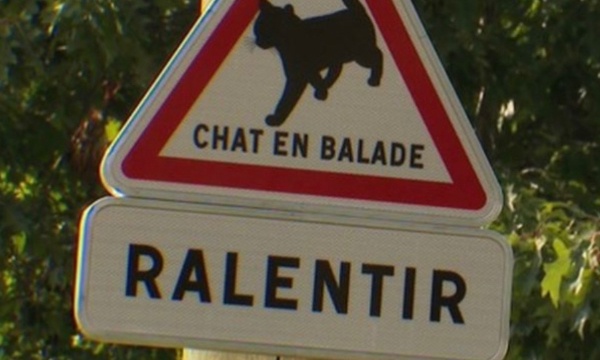 Pour l’installation de ralentisseurs