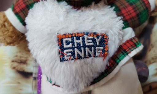 Combat pour récupérer ma fille OUBERZOU Cheyenne à mon domicile