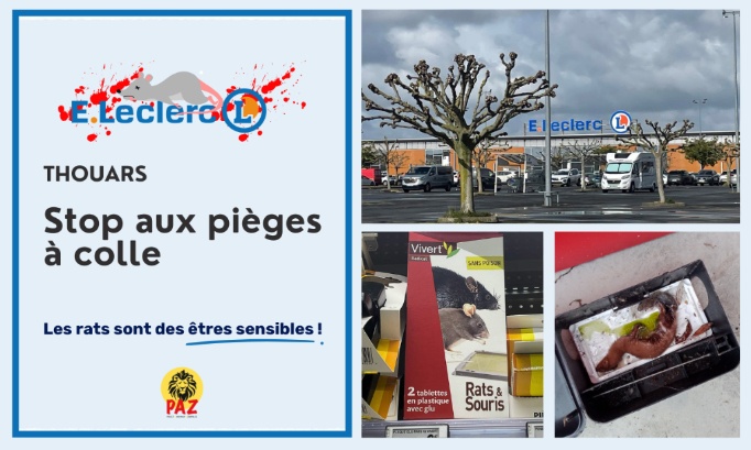 Stop aux pièges à colle au E.Leclerc Thouars