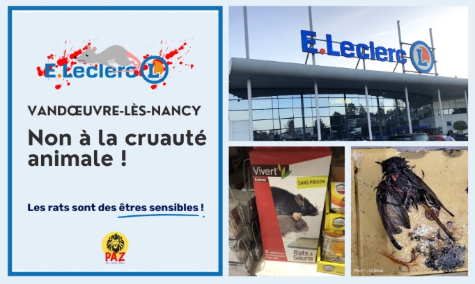 Non aux pièges à colle au E.Leclerc Vandœuvre-lès-Nancy