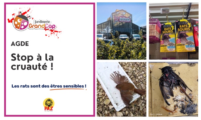 Stop à la cruauté animale à la Jardinerie Grand Cap