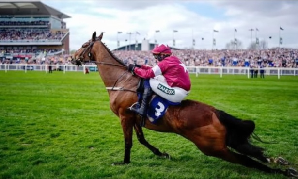 Un cheval gagnant a &eacute;t&eacute; TU&Eacute; lors d'une course &agrave; Liverpool apr&egrave;s s'&ecirc;tre cass&eacute; le dos. C'est la 5&egrave;me mort cette saison.