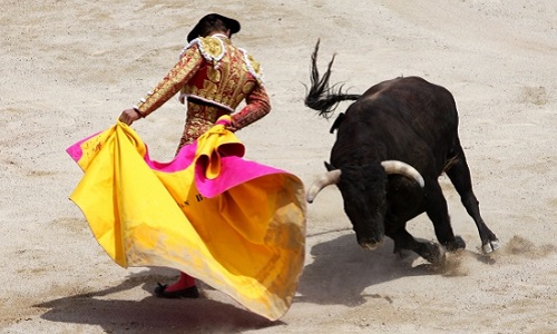 Saint-Gilles du Gard, non à la corrida, aux novilladas et aux fiestas camperas!