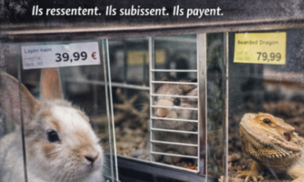 Collectif urgence nac - stop à la vente de nac en animalerie