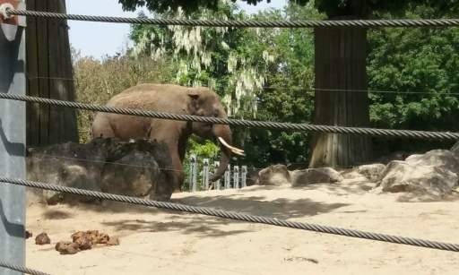 Pour la fermeture du Zoo de Maubeuge
