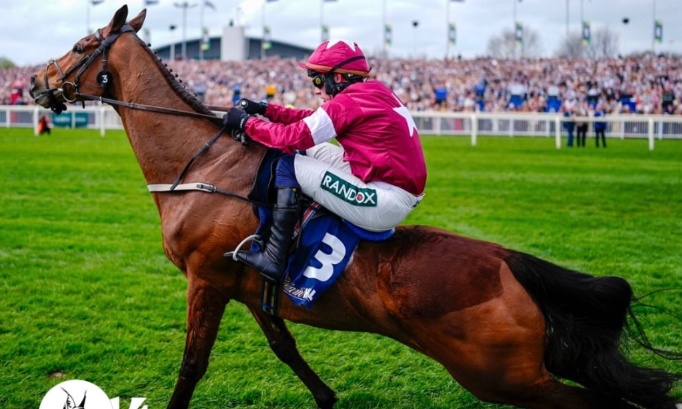 Hommage &agrave; Gold Dancer - arr&ecirc;t total des courses hippique !!!