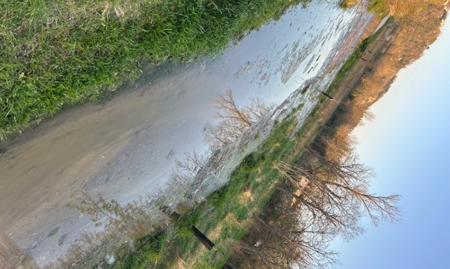 Demande d’intervention urgente pour pollution aux eaux usées – Pinsaguel