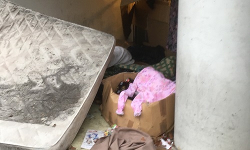 Gare SNCF de Strasbourg : ne payons plus d'abonnements pour un parking à vélos et son accès insalubres