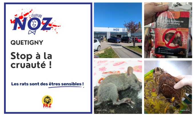 Noz Quetigny : stop aux pi&egrave;ges &agrave; colle