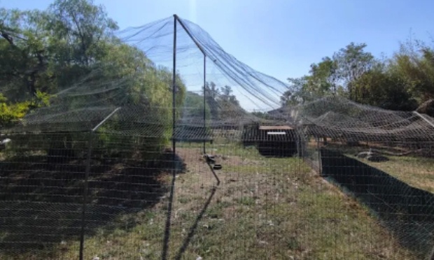 P&eacute;tition pour la protection des animaux du Zoo de Fr&eacute;jus ✊ Pour des conditions de vie dignes et respectueuses des animaux