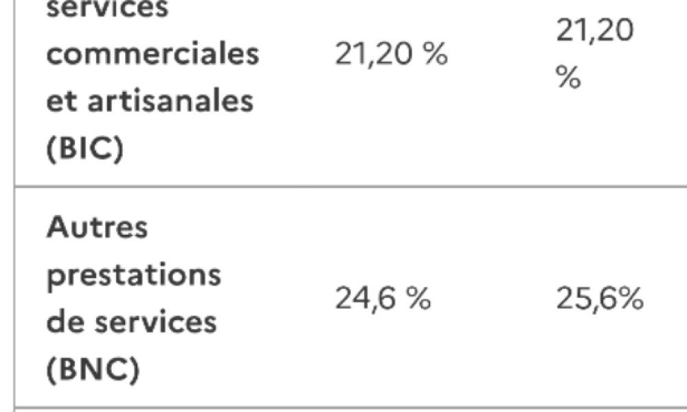 Pour une forte baisse du taux social des auto-entrepreneurs BNC