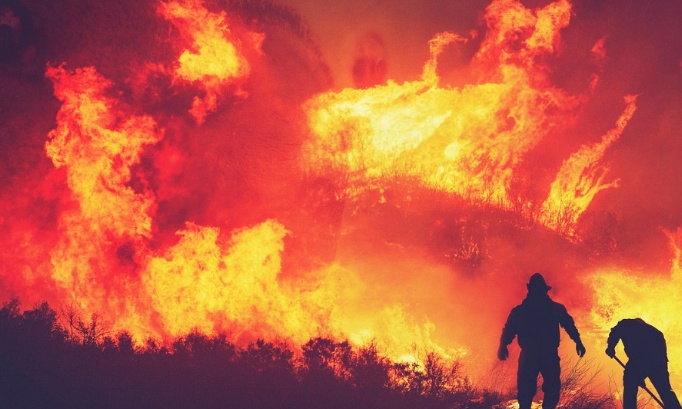 Le climat, la nature, la désertification, la perte de biodiversité, la déforestation, la destruction de la couche d'ozone, la pollution de l'air, de l'eau et du sol…. ; est ce réellement le combat de tous ?