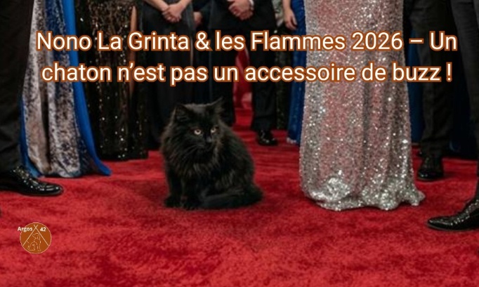 Nono La Grinta &amp; les Flammes 2026 : Un chaton n&rsquo;est pas un accessoire de buzz !