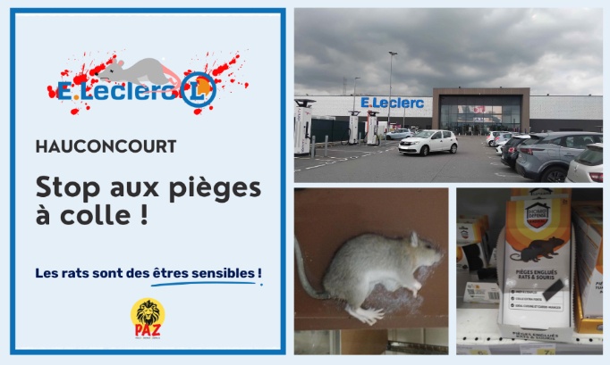 Stop &agrave; la cruaut&eacute; animale au E.Leclerc Hauconcourt