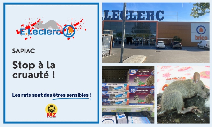 Stop &agrave; la cruaut&eacute; au E.Leclerc Sapiac (82)