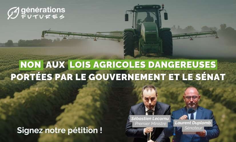 Pesticides : NON aux lois agricoles dangereuses, signez notre p&eacute;tition !