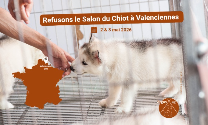 Refusons le salon du chiot &agrave; Valenciennes