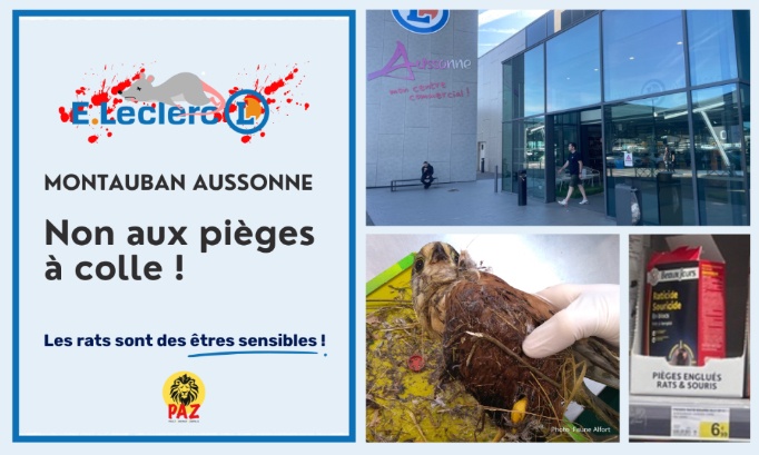 Pour le retrait des pi&egrave;ges &agrave; colle au E.Leclerc Montauban Aussonne