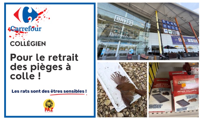 Carrefour Bay 2 Coll&eacute;gien (77) : non aux pi&egrave;ges &agrave; colle