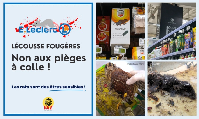 E.Leclerc L&eacute;cousse Foug&egrave;res : non &agrave; la cruaut&eacute; !