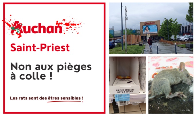 Auchan de Saint-Priest : stop aux pi&egrave;ges &agrave; colle