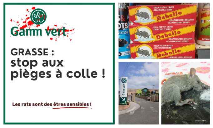 Stop &agrave; la cruaut&eacute; animale au Gamm vert Grasse (06)