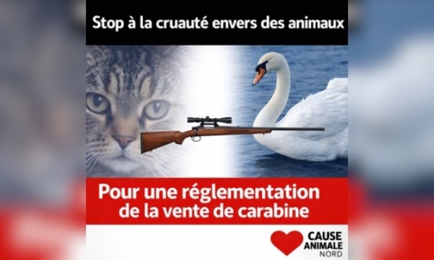 Pour une r&eacute;glementation de la vente de carabine, stop &agrave; la cruaut&eacute; animale