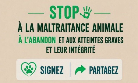Stop &agrave; la maltraitance animale, &agrave; l&rsquo;abandon et aux atteintes graves &agrave; leur int&eacute;grit&eacute;