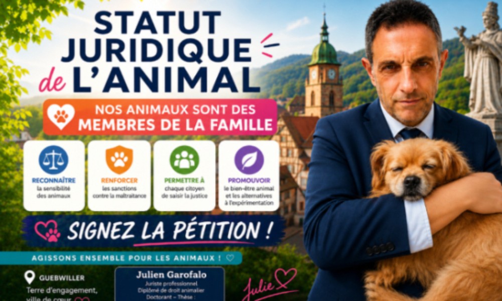 Pour la cr&eacute;ation d'un statut juridique autonome de l'animal : passons du statut d'objet &agrave; celui d'&ecirc;tre sensible