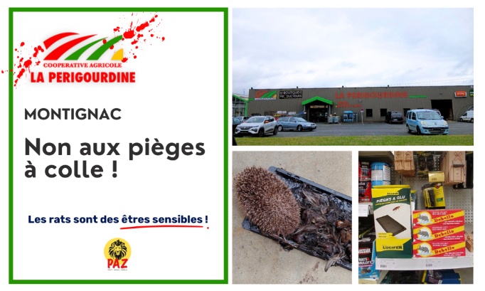 Coop&eacute;rative agricole La P&eacute;rigourdine Montignac : stop aux pi&egrave;ges &agrave; colle
