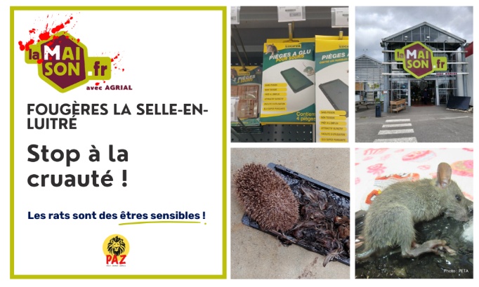Stop &agrave; la cruaut&eacute; animale &agrave; LaMaison.fr &agrave; Foug&egrave;res La Selle-en-Luitr&eacute;