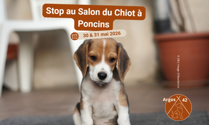 STOP AU SALON DU CHIOT A PONCINS