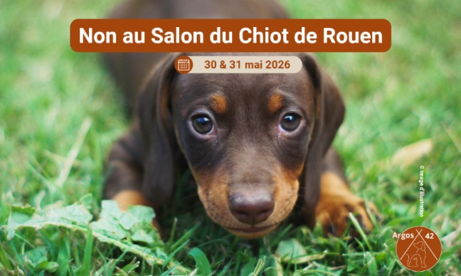 NON AU SALON DU CHIOT DE ROUEN !