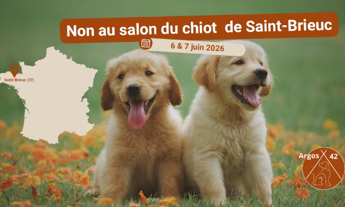 Non au salon du chiot de Saint-Brieuc !