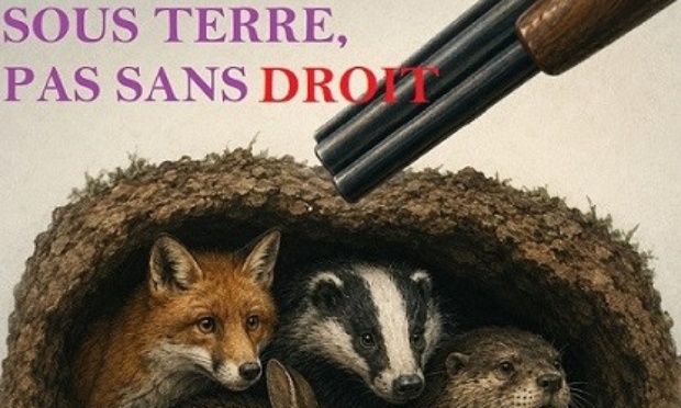 Pour une consultation obligatoire des vrais experts du monde animal par les pr&eacute;f&eacute;ts