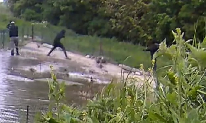 Justice pour ces canards massacr&eacute;s dans une hutte !